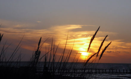 Erholungsurlaub auf Fischland-Darß-Zingst